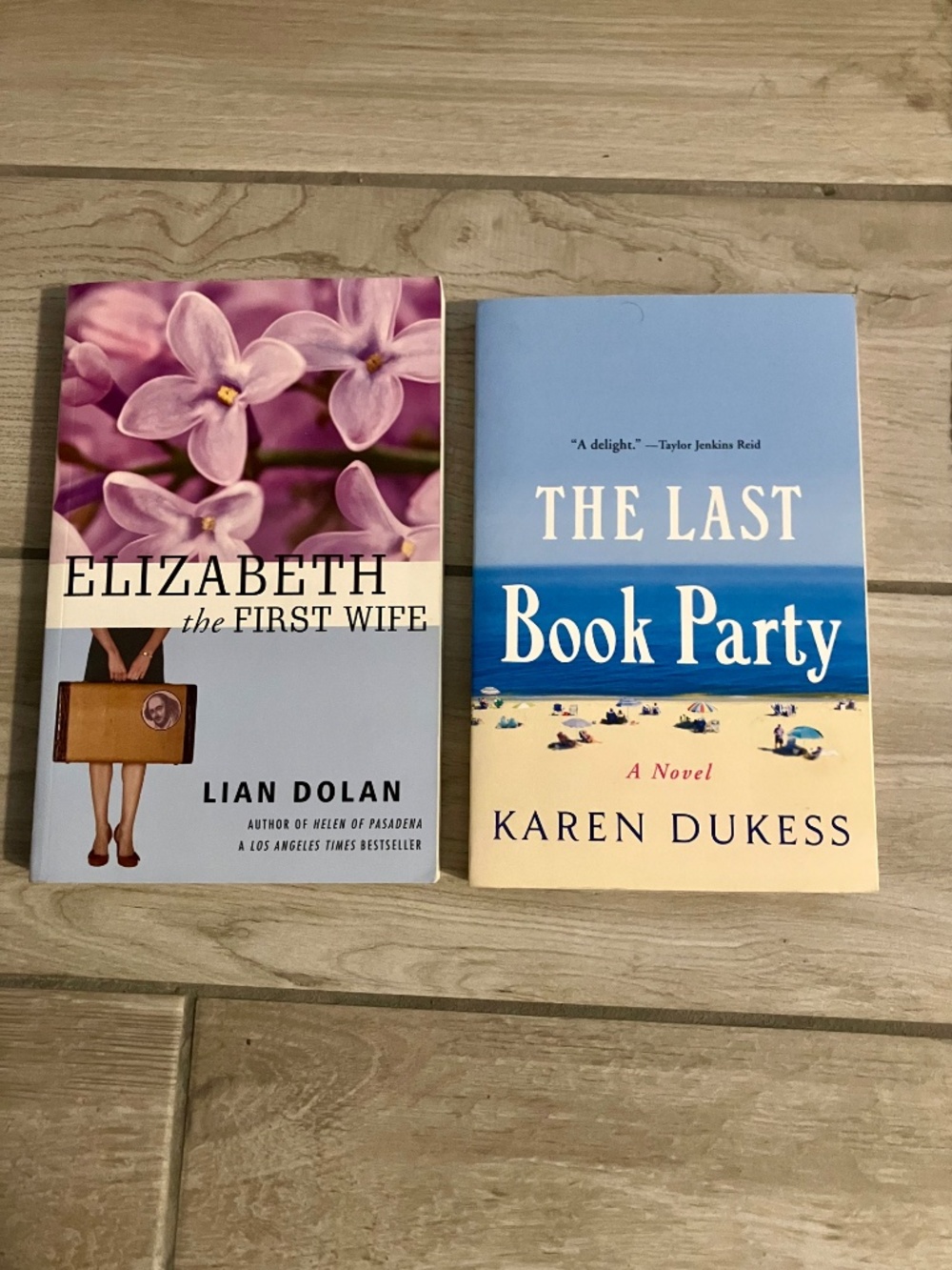 Book Bundle: The Last Book Party & Elizabeth the First Wife Paperbacks